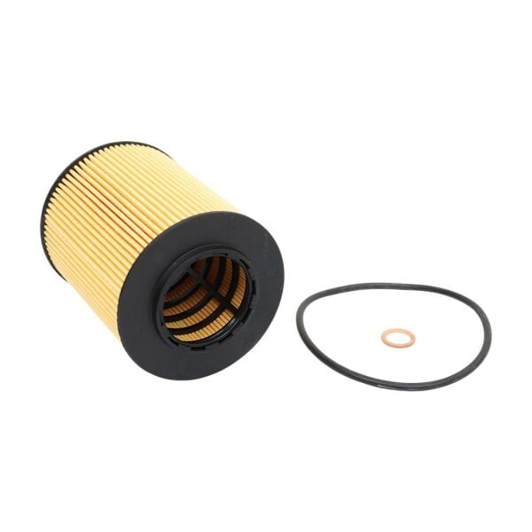 Bmw E36 E38 E39 E46 E53 E60 - M52 M54 Yağ Filtresi | Filtron