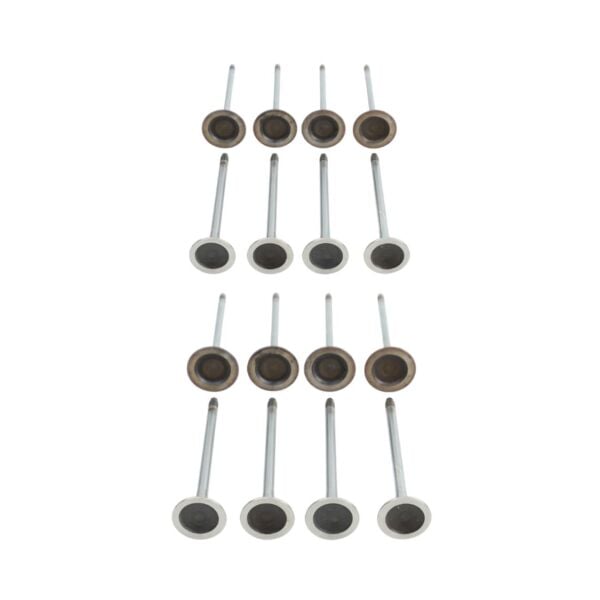 Bmw N20 N26 N55 Supap Takımı - Emme/Egzoz | Güneş