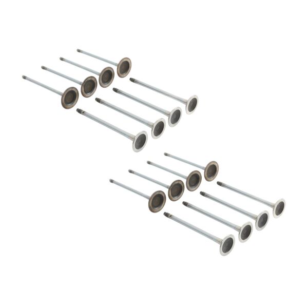 Bmw N20 N26 N55 Supap Takımı - Emme/Egzoz | Güneş