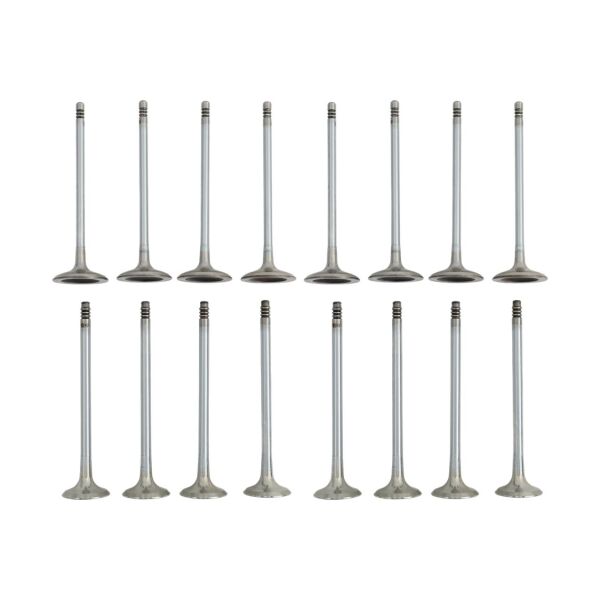 Bmw N20 N26 N55 Supap Takımı - Emme/Egzoz | Güneş