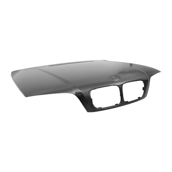 Bmw E46 Coupe Kaput ( 99 -02 ) | Taiwan