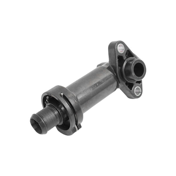 Bmw M47 M57 Egr Termostat |Bsg