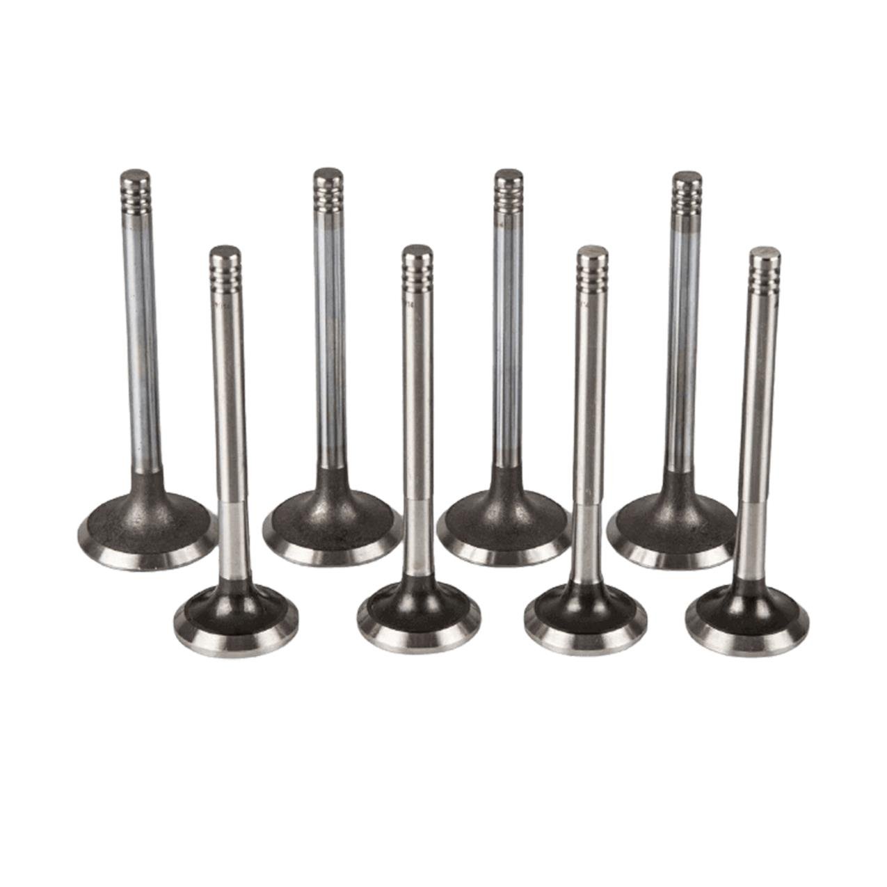 Bmw M40 Supap Takımı - Emme/Egzoz | Güneş