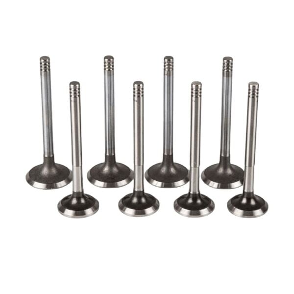 Bmw M40 Supap Takımı - Emme/Egzoz | Güneş