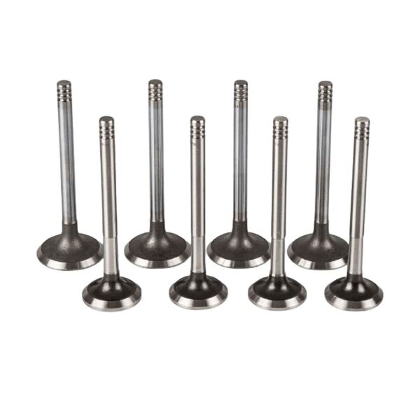 Bmw M40 Supap Takımı - Emme/Egzoz | Güneş