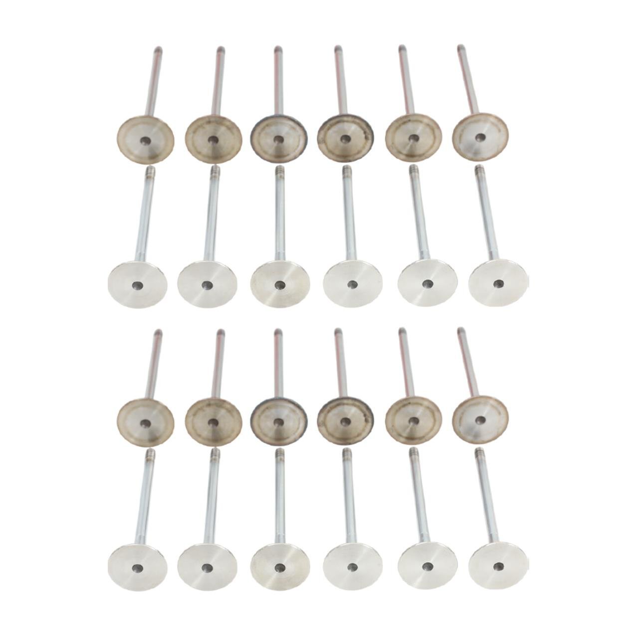 Bmw M52 M54 Supap Takımı - Emme/Egzoz ( 323i 328i 330i - 523i 525i 530i ) ( 24 Valf ) | Güneş