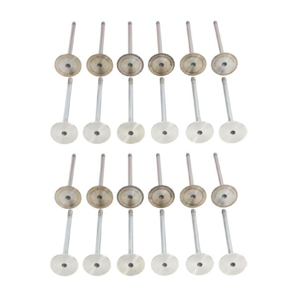 Bmw M52 M54 Supap Takımı - Emme/Egzoz ( 323i 328i 330i - 523i 525i 530i ) ( 24 Valf ) | Güneş