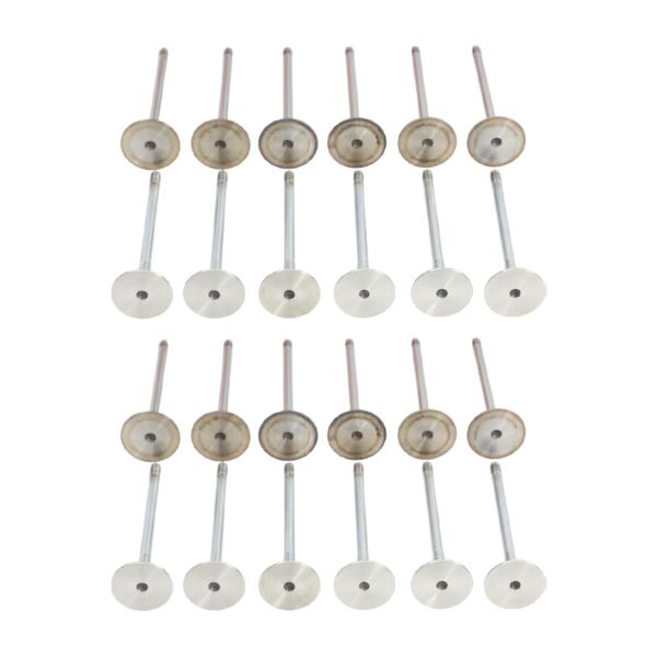 Bmw M52 M54 Supap Takımı - Emme/Egzoz ( 323i 328i 330i - 523i 525i 530i ) ( 24 Valf ) | Güneş