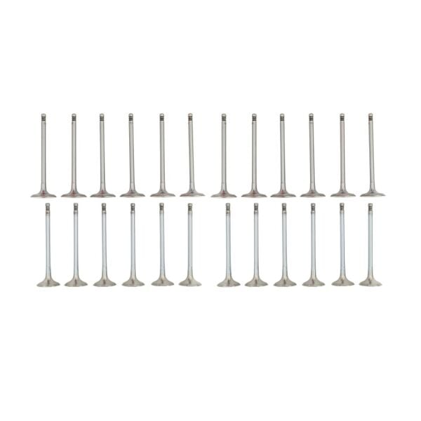 Bmw M52 M54 Supap Takımı - Emme/Egzoz ( 323i 328i 330i - 523i 525i 530i ) ( 24 Valf ) | Güneş