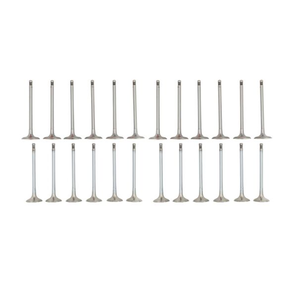 Bmw M52 M54 Supap Takımı - Emme/Egzoz ( 323i 328i 330i - 523i 525i 530i ) ( 24 Valf ) | Güneş