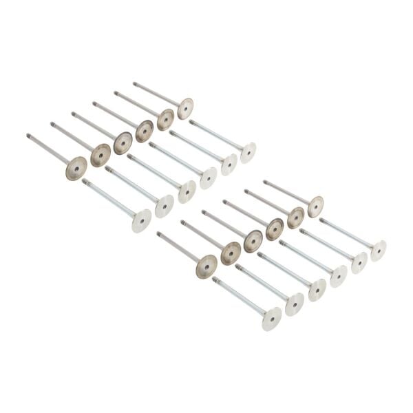 Bmw M52 M54 Supap Takımı - Emme/Egzoz ( 323i 328i 330i - 523i 525i 530i ) ( 24 Valf ) | Güneş