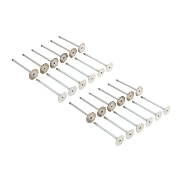 Bmw M52 M54 Supap Takımı - Emme/Egzoz ( 323i 328i 330i - 523i 525i 530i ) ( 24 Valf ) | Güneş