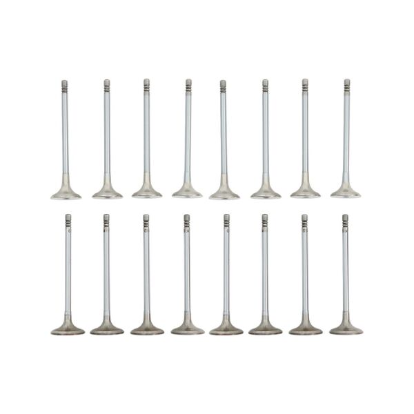 Bmw N47 Supap Takımı - Emme/Egzoz | Güneş