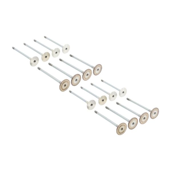 Bmw N47 Supap Takımı - Emme/Egzoz | Güneş