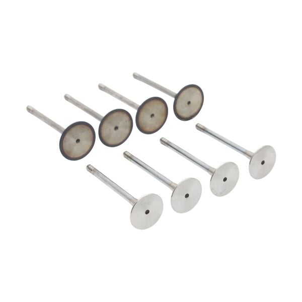 Bmw M43 M73 Supap Takımı - Emme/Egzoz | Tetik