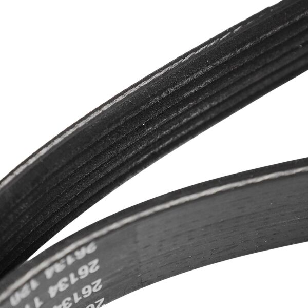 6 PK 1005 V Kayışı | Dayco