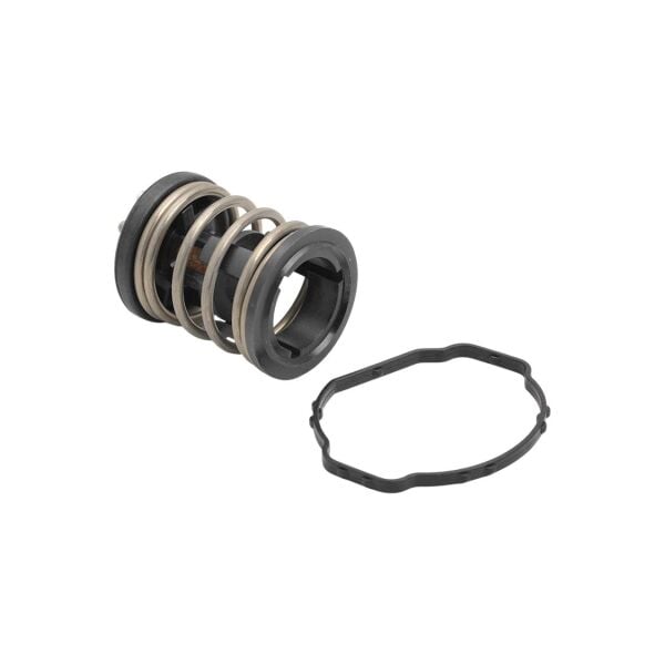 Bmw E60 E87 E90 F10 - N47 N57 Termostat | Swag