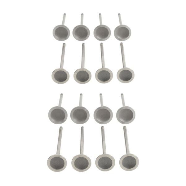 Bmw N13 Supap Takımı - Emme/Egzoz | Tetik