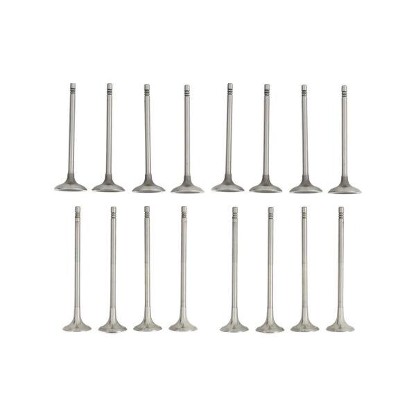 Bmw N13 Supap Takımı - Emme/Egzoz | Tetik