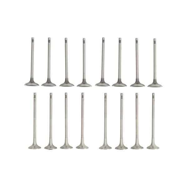 Bmw N13 Supap Takımı - Emme/Egzoz | Tetik