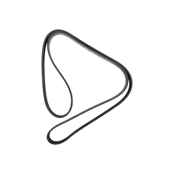 6 PK 1635 V Kayışı | Dayco