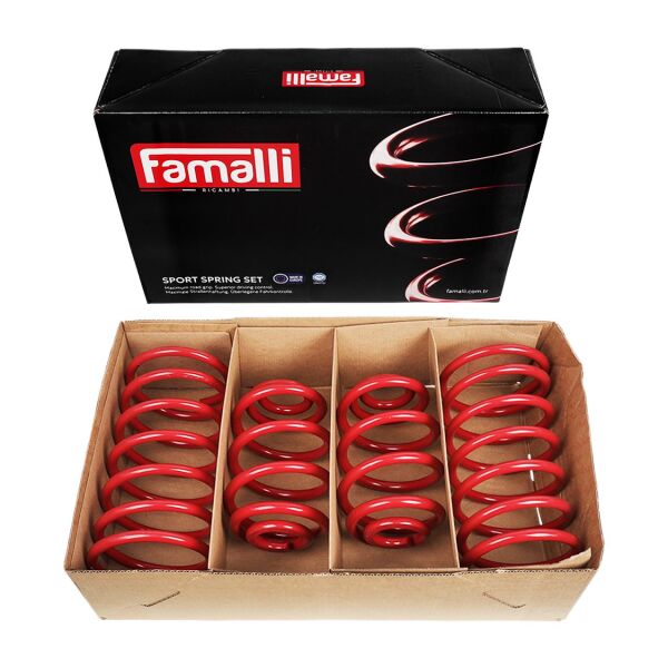 Bmw E30 Spor Helezon Yay Takımı | Famalli