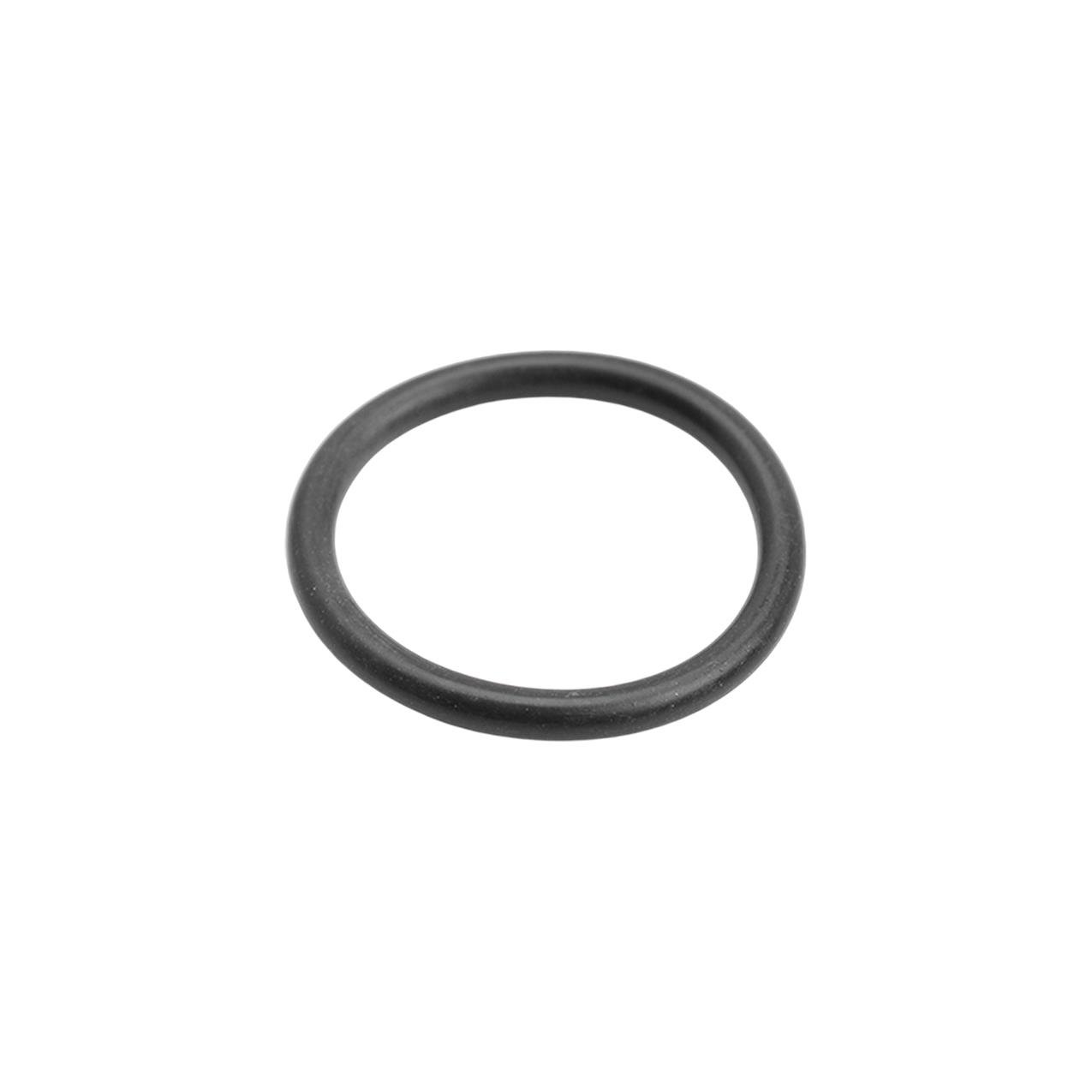 Bmw F20 F30 G20 G30 - B48 Termostat Oringi | Ajusa