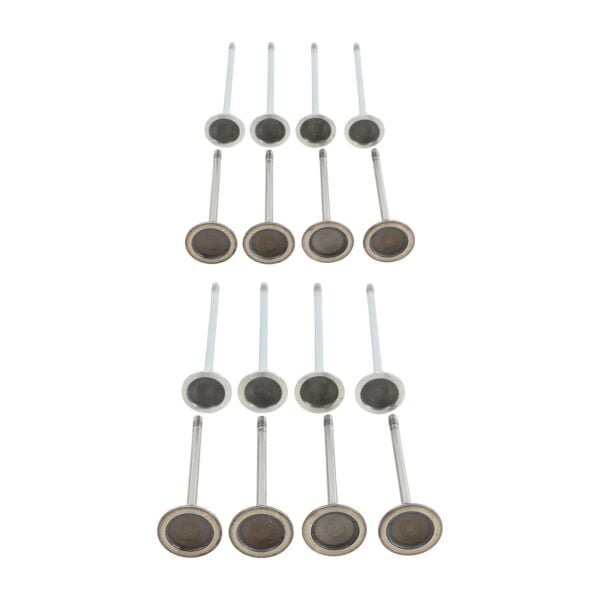 Bmw N13 Supap Takımı - Emme/Egzoz | Güneş