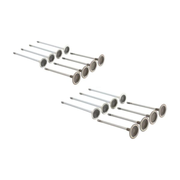 Bmw N13 Supap Takımı - Emme/Egzoz | Güneş