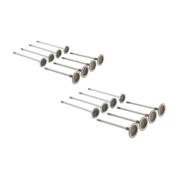 Bmw N13 Supap Takımı - Emme/Egzoz | Güneş