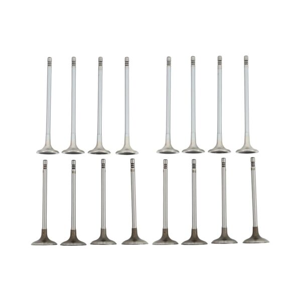 Bmw N13 Supap Takımı - Emme/Egzoz | Güneş