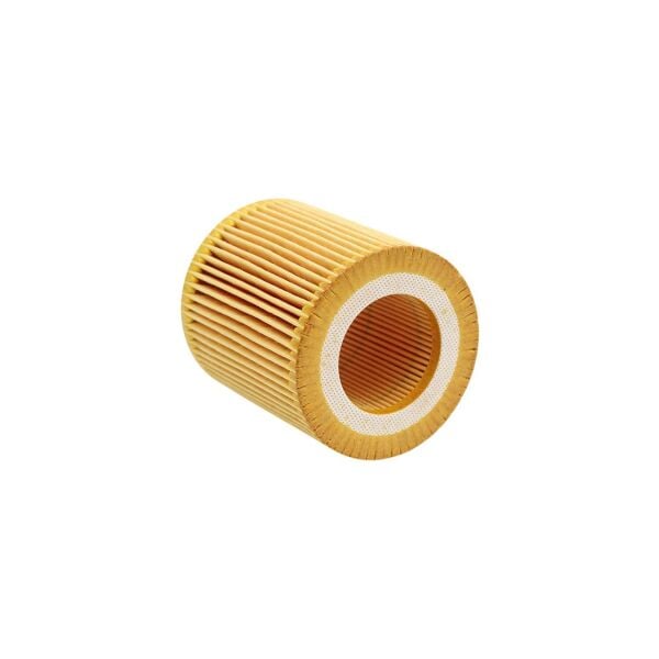 Bmw E84 F07 F10 F20 F30 F32 F34 F36 - N20 Yağ Filtresi | Mann Filter