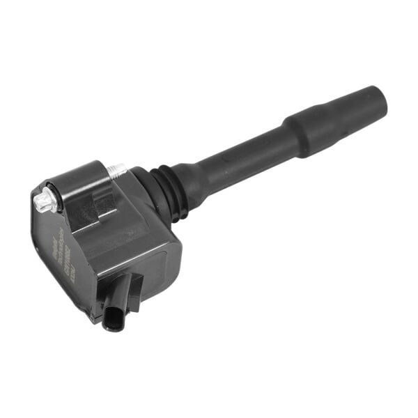 Bmw X1 F48 X2 F39 X3 G01 F20 F30 G30 - B38 B46 B48 Ateşleme Bobini | Delphi