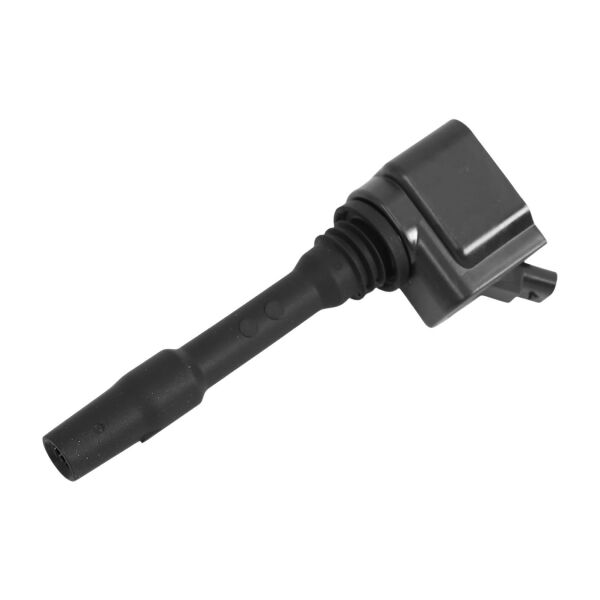 Bmw X1 F48 X2 F39 X3 G01 F20 F30 G30 - B38 B46 B48 Ateşleme Bobini | Delphi