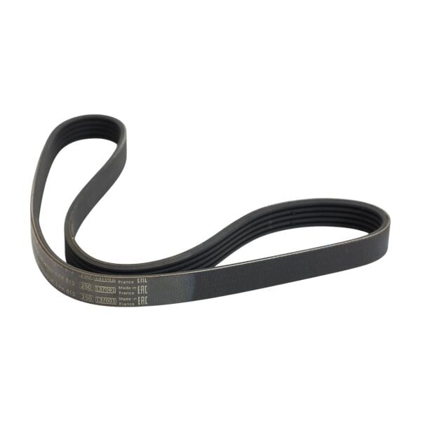 5PK 813 Kayış | Bosch