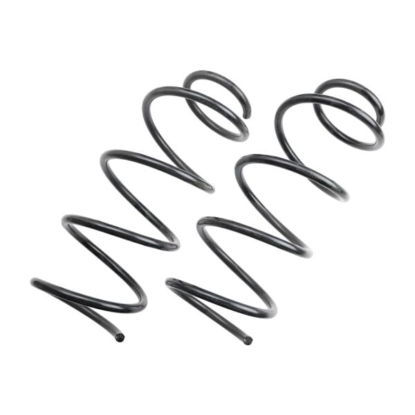 Bmw E81 E87 E90 Ön Yay Takımı | Lesjöförs