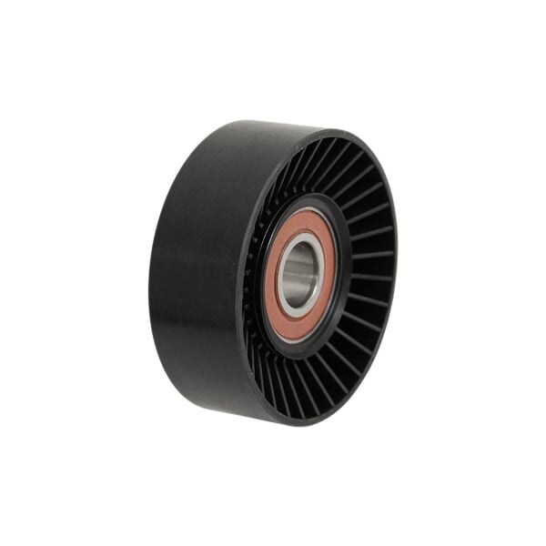 Bmw X5 E53 E39 - M62 V Kayış Geri Rulmanı | Aba