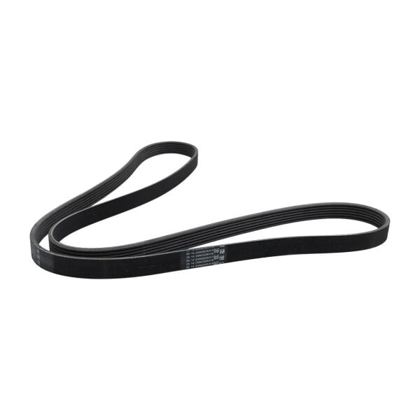 6 PK 1698 Kayış | Bosch