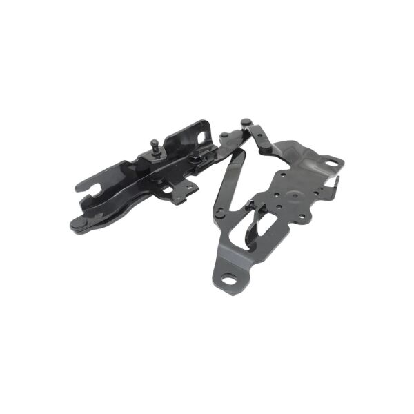 Bmw F10 Kaput Menteşesi - Sağ | Bw