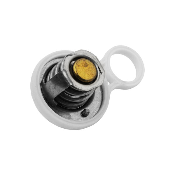 Mini Cooper R50 R52 R53 - W10 W11 Termostat ( 91 C ) | Swag