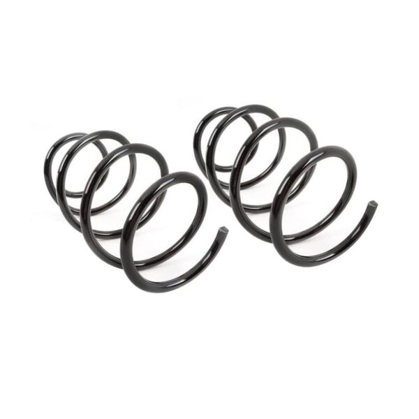 Bmw E46 Ön Helezon Yay Takımı | Bsg