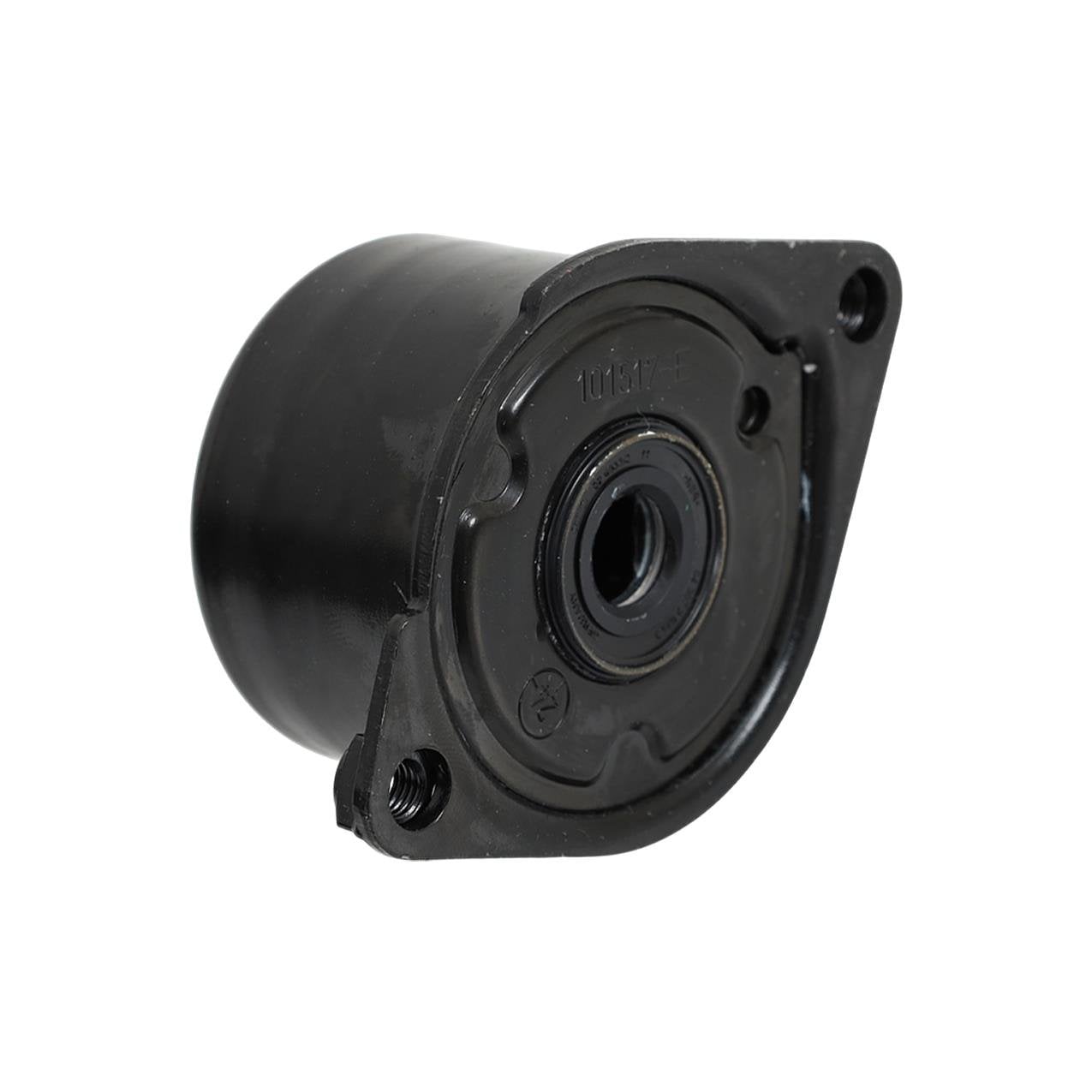 Bmw E46 E53 E60 E65 E83 E90 - M47 M57 V Kayış Gergi Kütüğü | İna