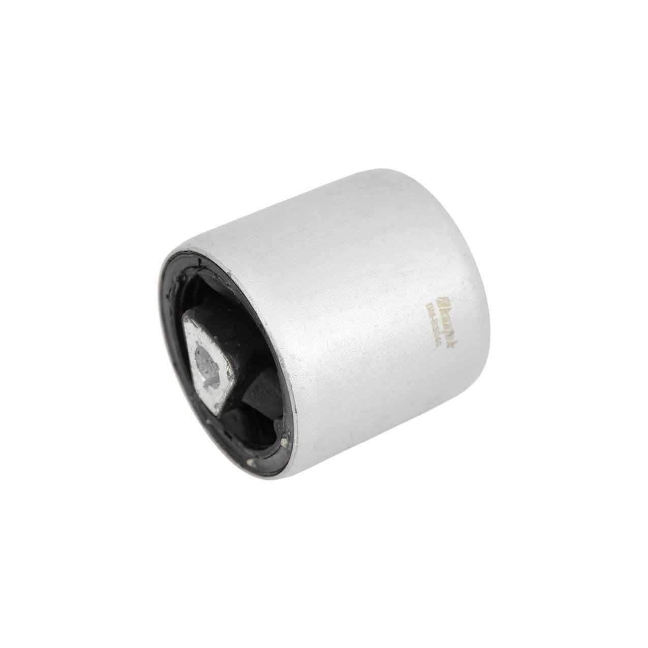 Bmw E60 Eğri Salıncak Burcu | Kautek