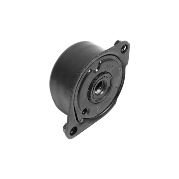 Bmw E39 - M57 V Kayış Gergi Kütüğü | Ina