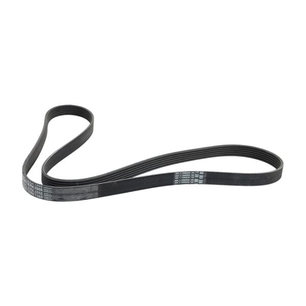 6 PK 1555 Kayış | Contitech